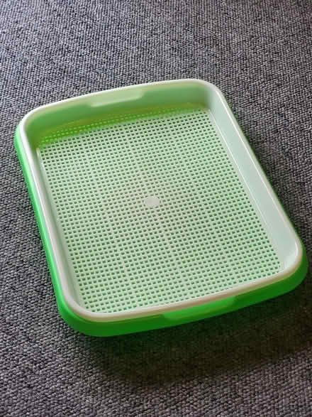 Photo of free Cress tray (Arundel) #1