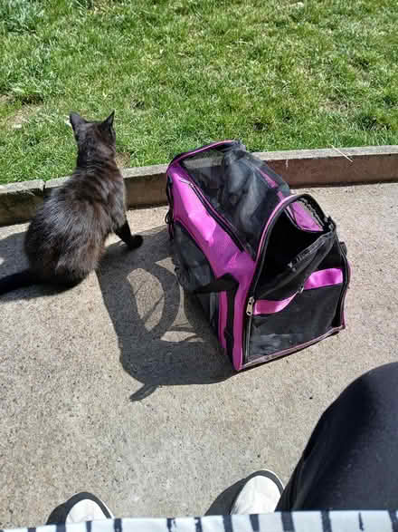 Photo of free Cat carrier (S2 lower manor) #1