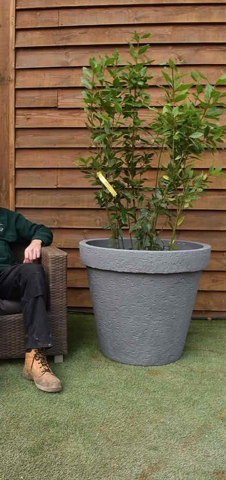 Photo of Extra large plant pot (Bowes Park N13) #1