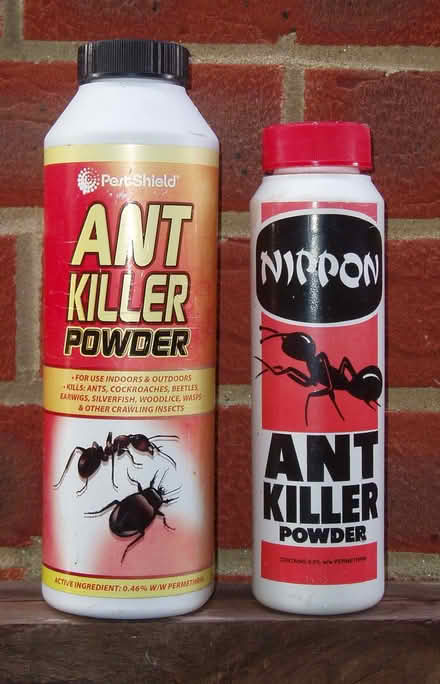 Photo of free Ant Killer (Down Barn SP4) #2