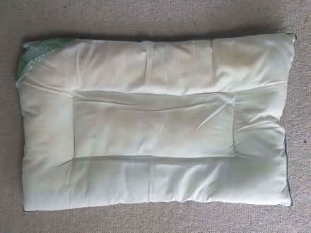 Photo of free Toddler pillow (Burgess Park SE5) #1