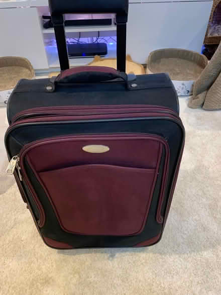 Photo of free Cabin luggage (Locks Heath SO31) #2