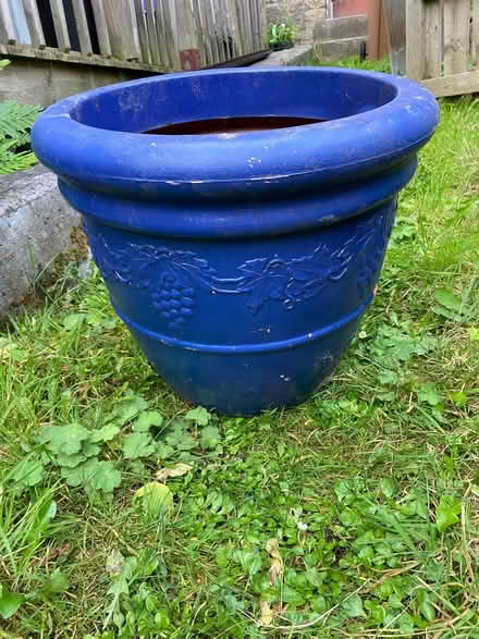 Photo of free Large planter (Blackford EH9) #2