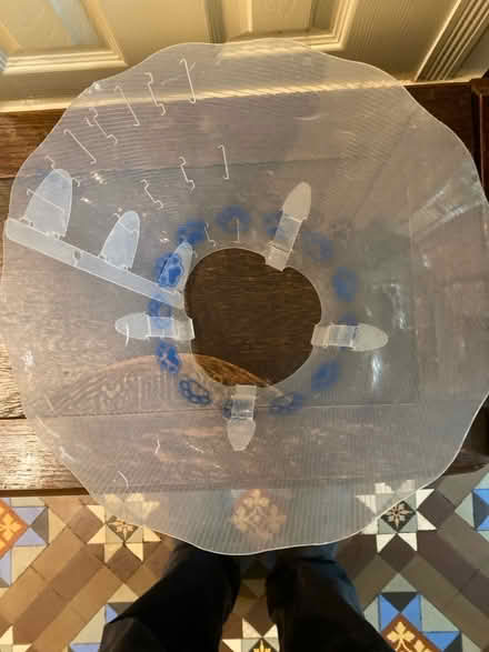 Photo of free Cone dog collar (Bedford MK40) #2