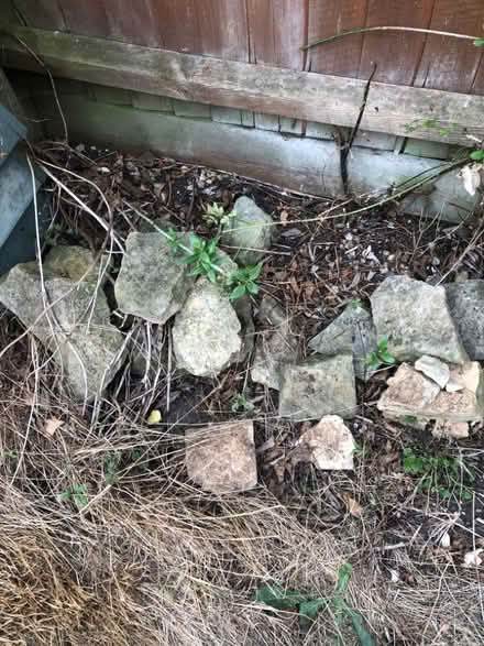 Photo of free Rockery Stone (North Bretton) #3