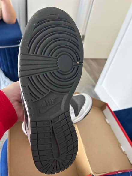 Photo of free Size 4 Nike dunks (Sandridge AL4) #4