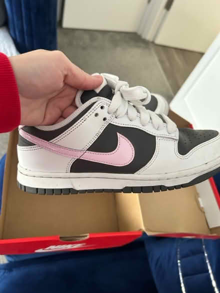 Photo of free Size 4 Nike dunks (Sandridge AL4) #2