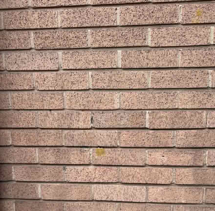 Photo of Bricks (L20) #1