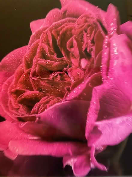 Photo of free Cooker splashback (Horsforth LS18) #2