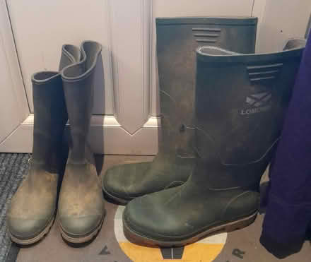 Photo of free 2 pairs of adult sized wellies (Buxted TN22) #1