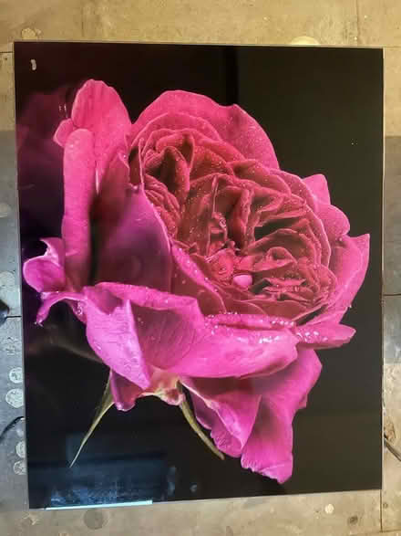 Photo of free Cooker splashback (Horsforth LS18) #1