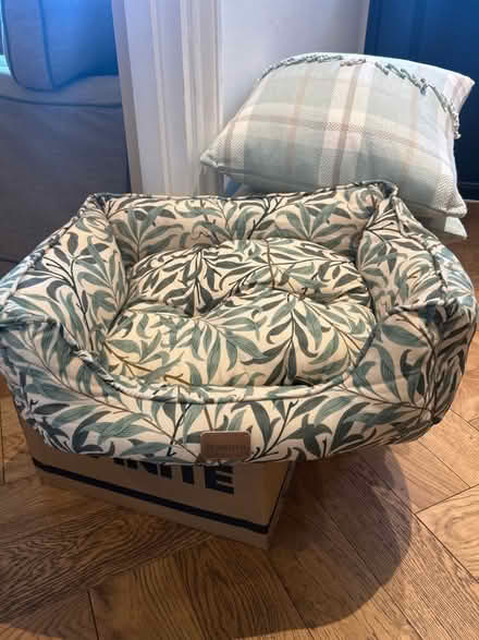 Photo of free Cat bed unused (Clapham Junction SW11) #1