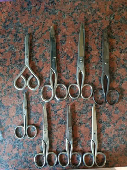 Photo of free Scissors (Staplehurst TN12) #1