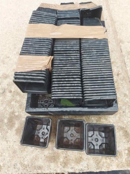 Photo of free Seed trays and pots (Carreg y Groes LL28) #1