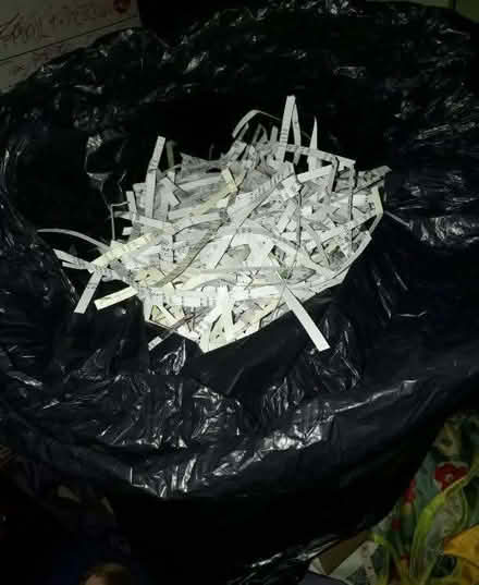 Photo of free Shredded Paper (Gledhow LS8) #1