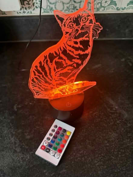 Photo of free USB Cat Light (Ringwood) #1