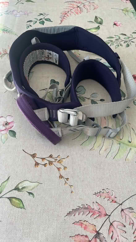 Photo of free Children’s climbing harness (Herne Hill SE24) #1