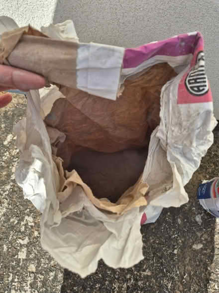 Photo of free Ardex X77 Tile Adhesive Grey (Leigh-on-Sea SS9) #3