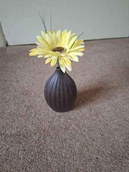 Photo of free Vase (Waterside HP5) #1