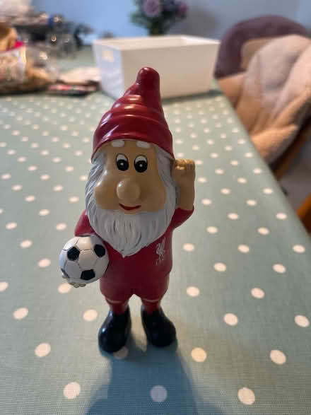 Photo of free Liverpool gnome (Penrith CA11) #1