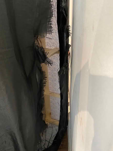 Photo of free Single bed base (Oxford OX1) #3