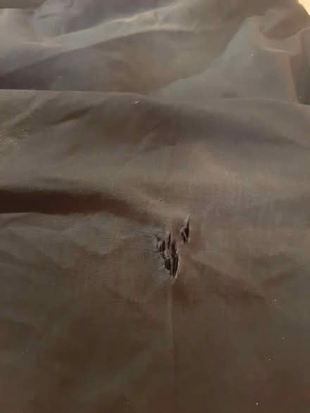 Photo of free 2 prs Mountain Warehouse trousers waist 30. (Whitemoor NG8) #3