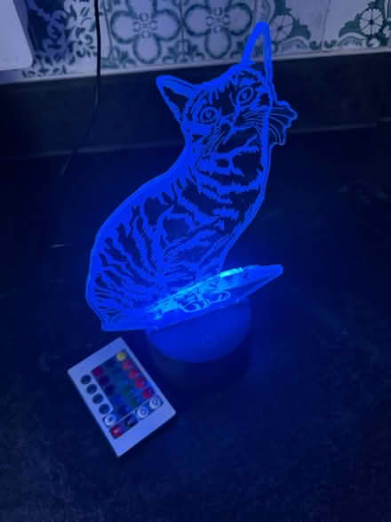 Photo of free USB Cat Light (Ringwood) #2