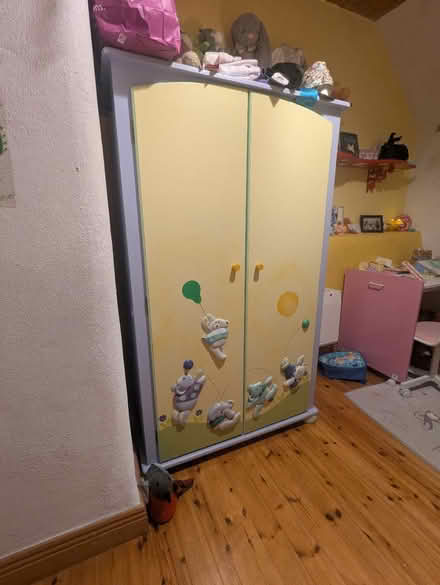 Photo of free Cute kids Wardrobe (Macroom) #1