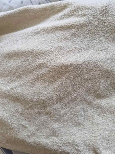 Photo of free Fitted terry towelling single sheet for up-cycling (Shirley CR0) #1