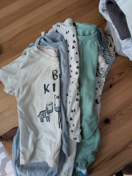 Photo of free Baby bundle (Honor oak) #2
