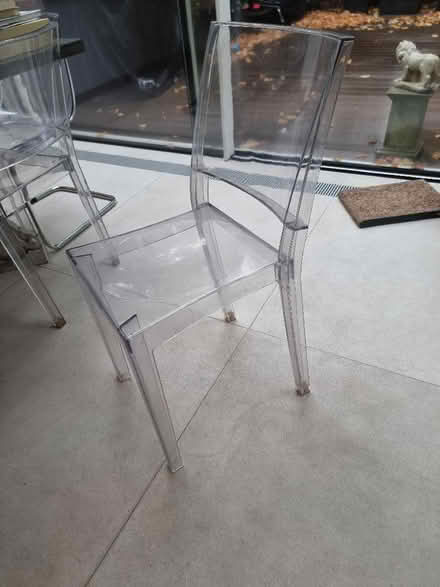 Photo of free Philippe Stark style dining chairs (Holland Park W14) #1