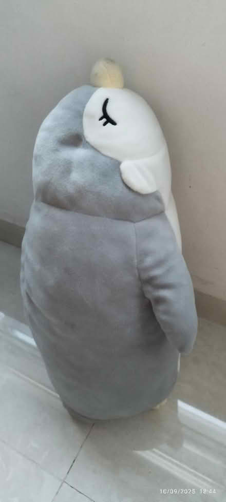 Photo of free Penguin plushie (Tpy) #1