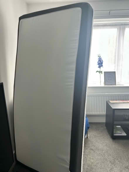 Photo of free Single mattress (AL4) #2