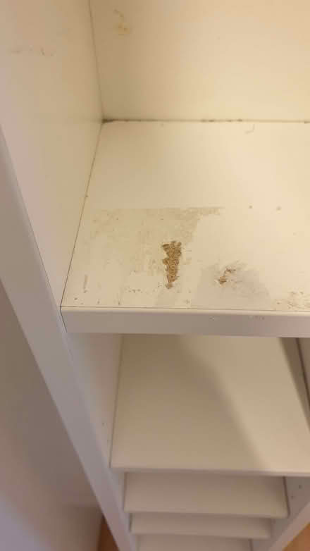 Photo of free CD shelves (Neithrop OX16) #2