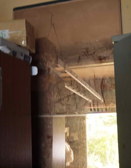 Photo of free full length mirror (Oakwood LS8) #2