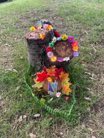 Photo of Plant Pots (SW15) #2