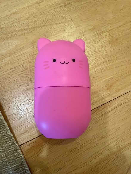 Photo of free Ice pack cat facial freezer (Sunset Park) #1