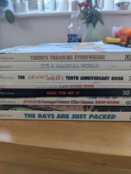 Photo of free Calvin & Hobbes books (Castlepoint BH8) #1