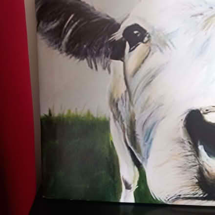 Photo of free Head of the herd. (Lexden CO3) #3