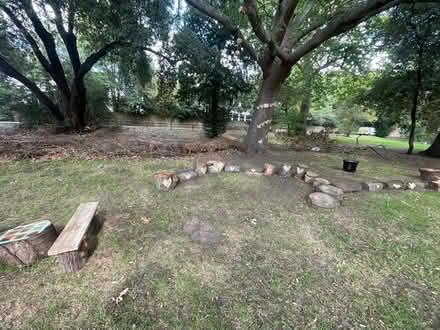 Photo of Plant Pots (SW15) #4