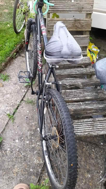 Photo of free Mountain bike (CM0 8AN Burnham on crouch) #1