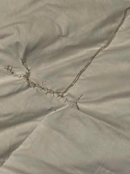 Photo of free Mattress topper - duck feather & down - king (Craigleith EH4) #3