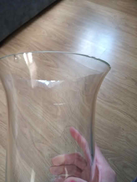 Photo of free Large vase (Blakenall WS3) #2