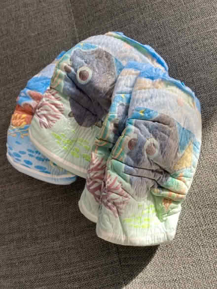 Photo of free Baby swim nappies (Cherry Hinton, Cambridge) #2