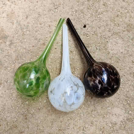 Photo of free 3. x Watering Globes (Chineham RG24) #1