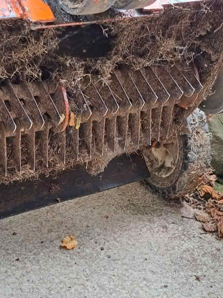 Photo of free Scarifier/Aerator (petrol) (Scriven HG5) #4