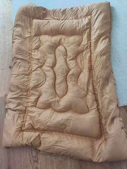 Photo of free Eiderdown (Cranmer Avenue BN3) #1