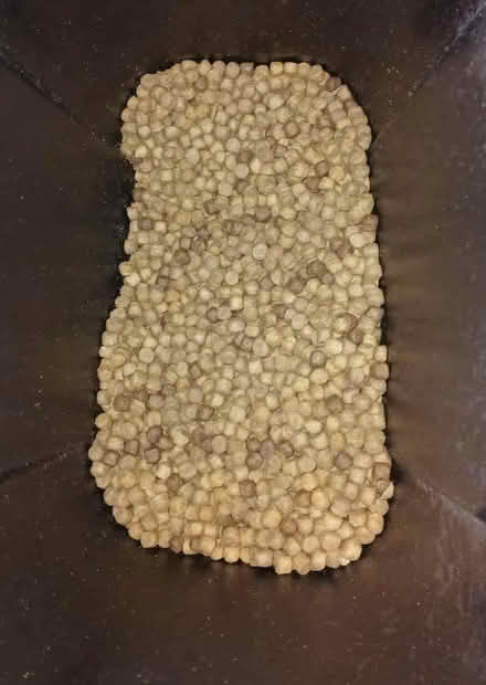 Photo of free Harringtons adult dog food 2.7kg (Carbis Bay TR26) #1