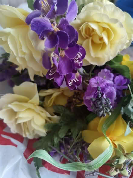 Photo of free For those who do flower arrangement (Kelham Island S3) #1