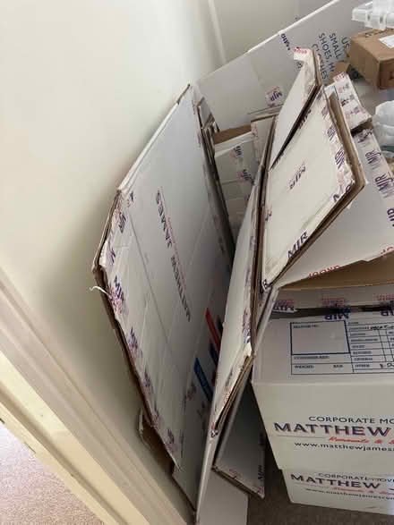 Photo of free Boxes for moving house (IP10) #3